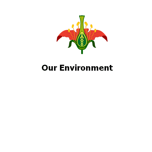 Our Environment